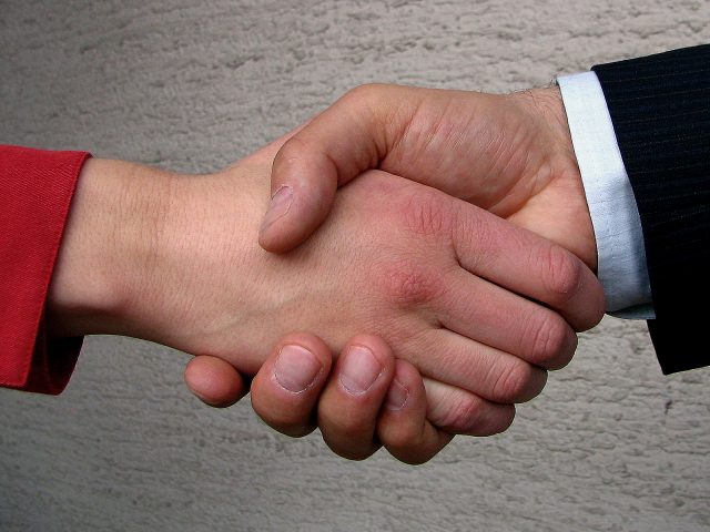 Female and male handshake in agreement